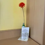 Zeitwohnen Wolfsburg, Ehemals Am Klieversberg Ein Unternehmen Der Micha's Hotelbetriebe Hotel 3*